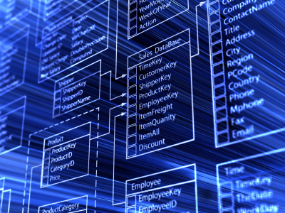 Software Development