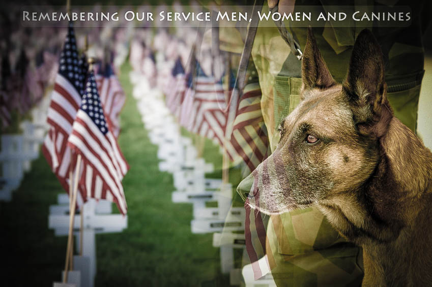 Memorial Day Remembering Compass Consulting